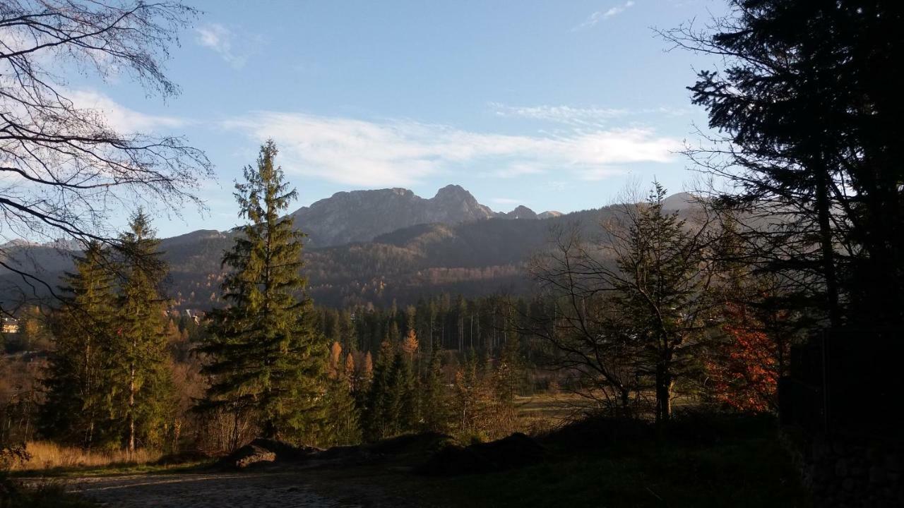 Spanie Po Zboju